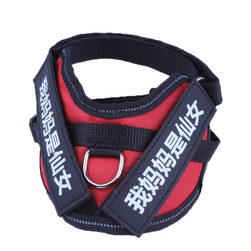 Personalized No-Pull Dog Harness
