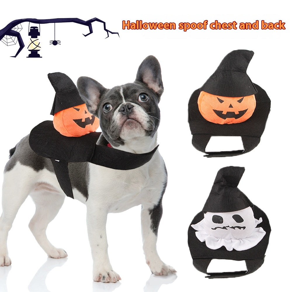 Halloween Pet Costume