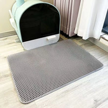 Double-Layer Cat Litter Trapping Mat - image 2