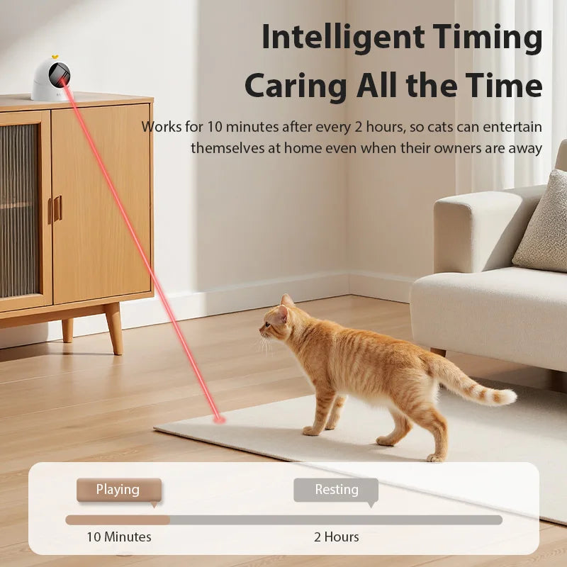 Timer and charge
