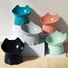Tilted Elevated Cat Food Bowl, Anti-Vomit 15° - image 1