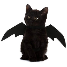 Bat Wings Halloween Harness Costume for Cats & Small Dogs - image 3