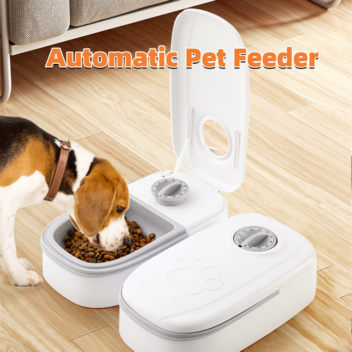 Mealtime Kit (Automatic Feeder + Slow Feeder Bowl)