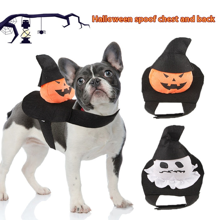 Halloween Pet Costume