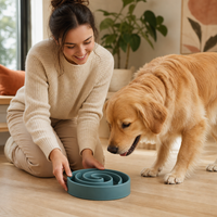 Slow Feeder Dog Bowl