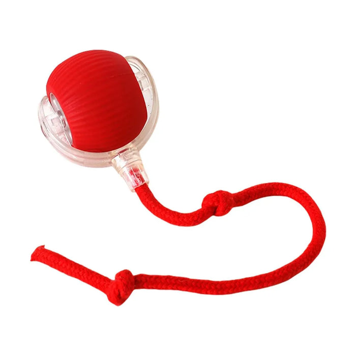 Cat Interactive Rolling Ball