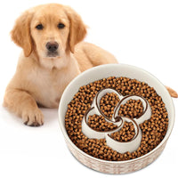 Slow Feeder Dog Bowl with Maze Design