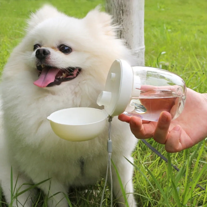 Portable Dog Water Bottle