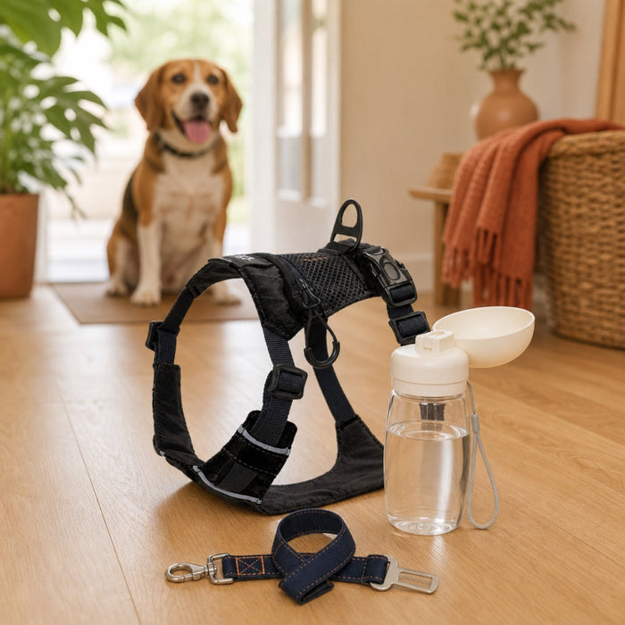 Dog Walk Kit (Harness + Water Bottle + Seat Belt)